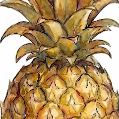 Fruitly